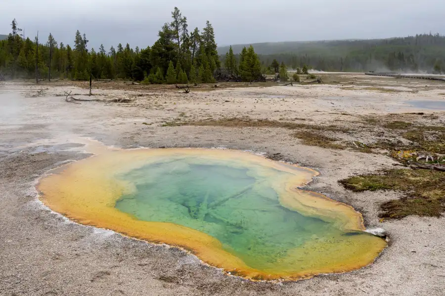 Chemical reactions in volcanic pools could have helped life get going on Earth  Michael S. Nolan/Alamy